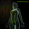 LymphaticSynergy